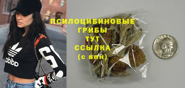 тгк Карпинск