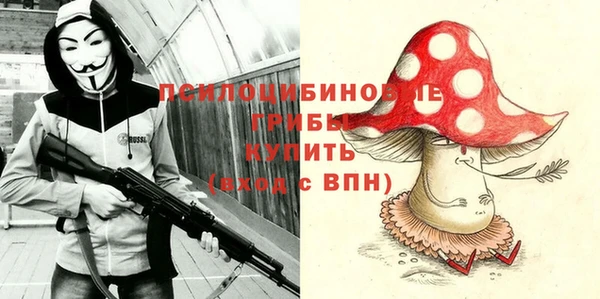 тгк Карпинск