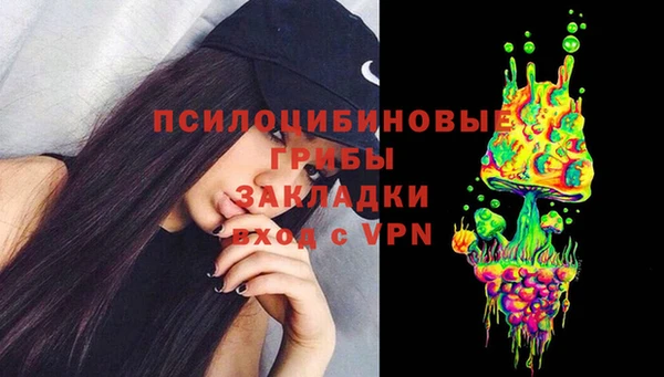 тгк Карпинск