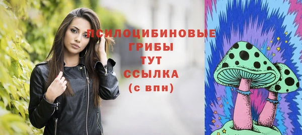 дмт Карталы
