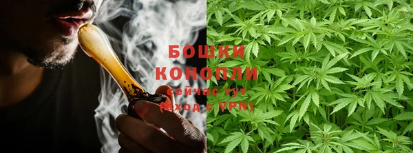 дурь Касимов