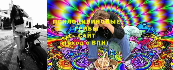 тгк Карпинск