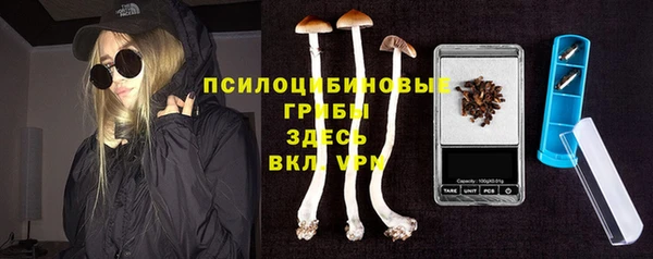 дурь Касимов