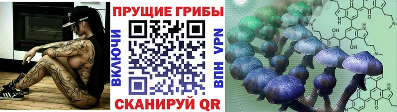 Псилоцибиновые грибы ЛСД Великий Устюг